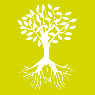 tree and roots